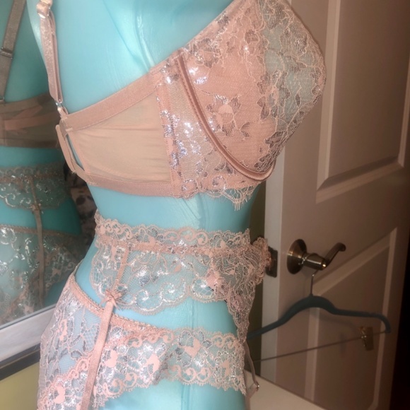 Victoria’s Secret Allure Shine Evening Blush Bra /Garter/Cheekini Set NWT 38DDD - Picture 5 of 14